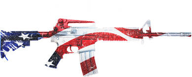 Ar-Merica Kids Hoodie